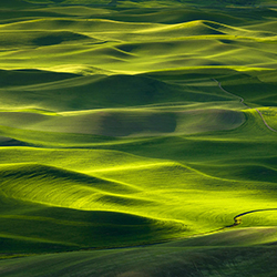 waves of green-Thierry Bornier-bronze-landscape-13027