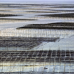 Sunrise mud flats-Thierry Bornier-finalist-landscape-13262