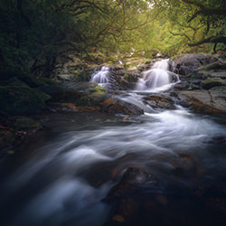 After Rains-Yiu Pan Tang-finalist-landscape-16402