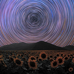 Sunflower Trails-Bikram Ghosh-silver-landscape-16500