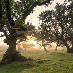 Sunset Haze-Ilaria Trezzi-finalist-landscape-16426