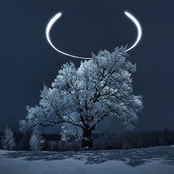 Winterguard-Константин Шамин-silver-landscape-16546