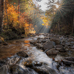 Autumn Beam of light-Takashi Sagawa-finalist-landscape-16436