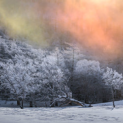 Wonder fog-Yuki Kamishima-finalist-landscape-16417