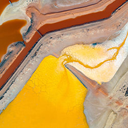 Lemon Fire-Tom Putt-bronze-landscape-17556