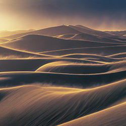 The photographer-Markus Albert-gold-landscape-17788