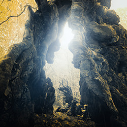 Druid\'s Guildgate-Daniel Laan-finalist-landscape-17726