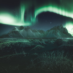 Green Maw-Daniel Laan-gold-landscape-17779