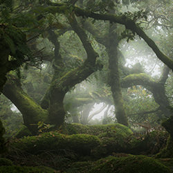 Protectors-Daniel Laan-finalist-landscape-17731