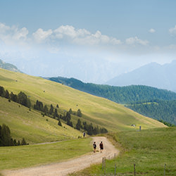 Getting lost among the paths-Andrea Toxiri-finalist-landscape-17737