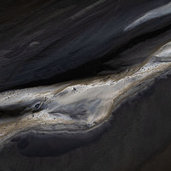 Whale-Clare Vella-finalist-landscape-17750
