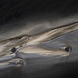 Dolphin and Dory-Clare Vella-finalist-landscape-17751