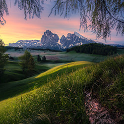 spring in the Dolomites-Simone Caldonazzi-finalist-landscape-17740