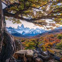 autumn colors in Patagonia-Simone Caldonazzi-bronze-landscape-17953