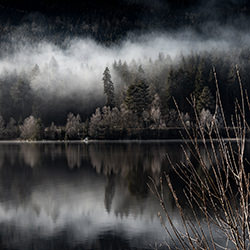 Magic Silence-Ella Schnur Art-finalist-landscape-17759