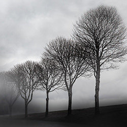 The Space Between-Ella Schnur Art-finalist-landscape-17760
