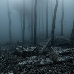 Lost in the Deep Woods-Lee Nga Tina Sin-bronze-landscape-17949