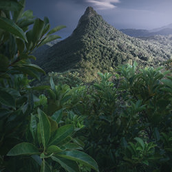 Green Peak-Kit Ho-bronze-landscape-17683