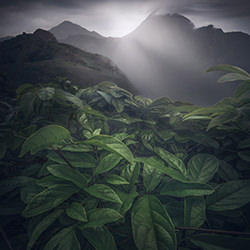 The dawn unveils the shrouded peak-Kit Ho-bronze-landscape-17687