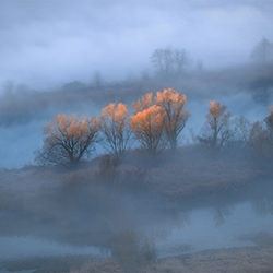 First lights-Emiddio Andrea Polcaro-bronze-landscape-17689