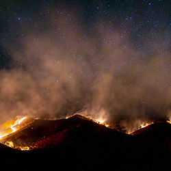 Wildfire-Tom Putt-silver-landscape-17802