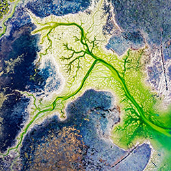 Green monster-Tom Putt-silver-landscape-17804