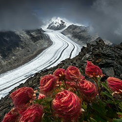 Red Passion-Davide Reccanello-silver-landscape-17850