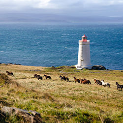 Wild Nature-Monika Gross-finalist-landscape-17732