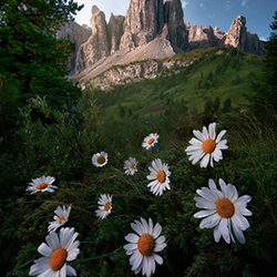Spring in the Dolomites-Paolo Lo Pinto-finalist-landscape-17765