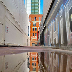 CBD Alley-Eleonora Peti-finalist-mobile-5990