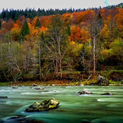 Bucovina River-Codrin Anton-finalist-mobile-5927