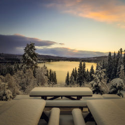 Winter wonderland-Øyvind Sjøvoll-bronze-mobile-5885