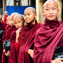 Young Monks-Kathleen S-finalist-mobile-6005