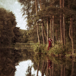 In the forest-Dominika Koszowska-bronze-mobile-5877
