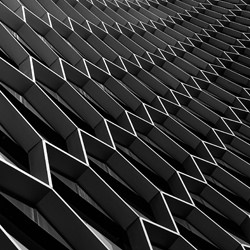 The Lines-Mengguo Li-finalist-mobile-5933