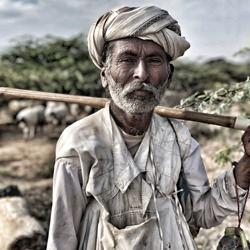 The Shepherd-Jilliana Gocher-finalist-mobile-5918