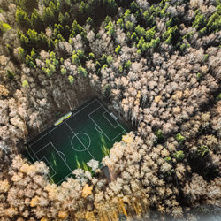 Soccer field in Moscow\'s forest-Vitaly Golovatyuk-bronze-mobile-7728