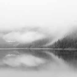 Misty morning by the lake-Dominika Koszowska-bronze-mobile-7709