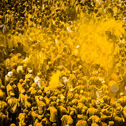 The yellow festival-Rohan Sajeev-gold-mobile-11113