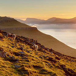 Sunrise in the Faroe Islands-Dominika Koszowska-finalist-mobile-11028