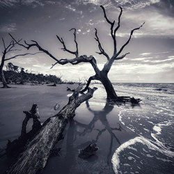 Intertwining shadows-Camelia Marculescu-finalist-mobile-13831