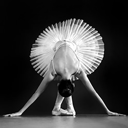 En Pointe-Michelle Simmons-bronze-mobile-13723