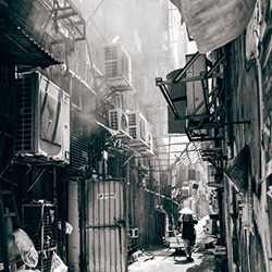 Alley-Hei Nam Liu-bronze-mobile-16589