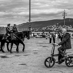 In saddle-Gyorgy Pinke-finalist-mobile-16649