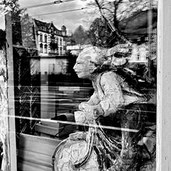 Zooming-Laura Bobanovic-finalist-mobile-16633