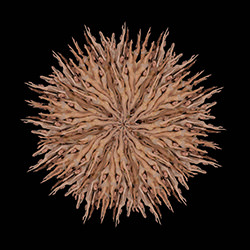 Dancers Flower #9-Howard Schatz-gold-portrait-14718