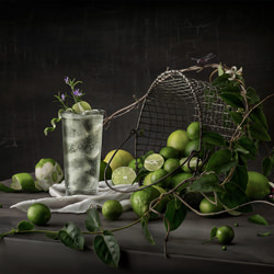Lime Ricky-Greg Stroube-silver-still_life-3924