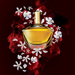 AVON Aspire-Pierre Peters-finalist-still_life-3899
