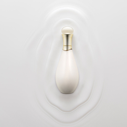 Jadore 1-Kevin Norris-silver-still_life-5632