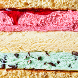 Ice-cream Sandwich-Kris Kirkham-bronze-still_life-5492